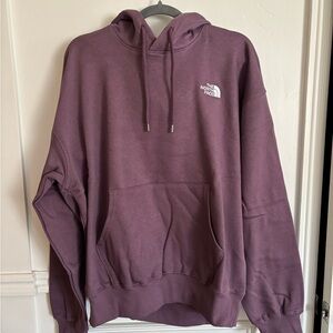 The North Face Men's Mauve Oversized Hoodie